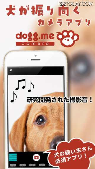 迷子犬を探せる顔認証機能 愛犬をカメラ目線で撮影できるアプリ Dogg Meカメラ に追加 Rbb Speed Test